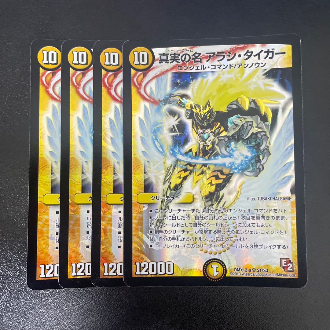 The True Name Arashi Tiger SR S1/S3