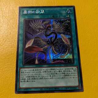 Black Feather Whirlwind Secret Rare QCCP-JP143
