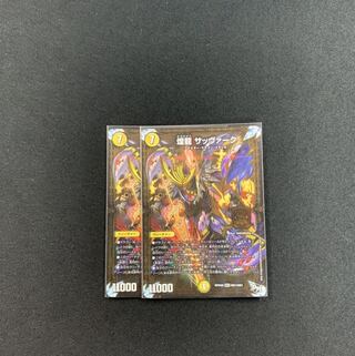 煌龍 サッヴァーク2枚