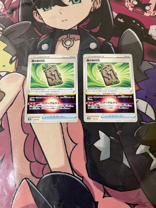 森の封印石 ２枚