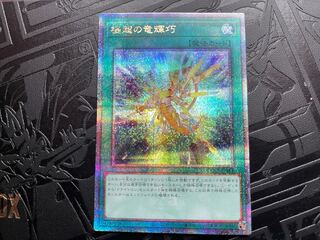 Drytron Nova Quocik 25th