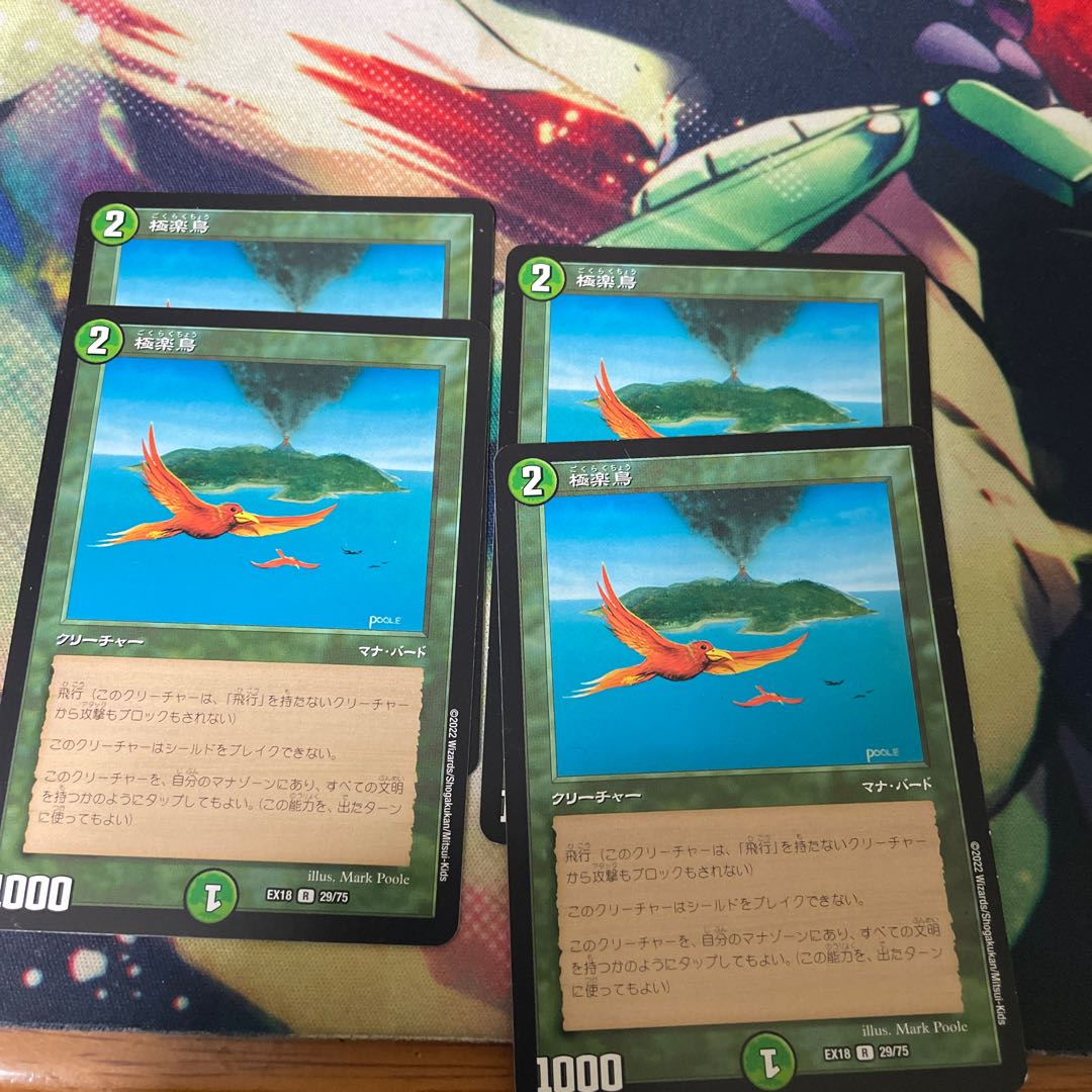 Birds of Paradise R 29/75