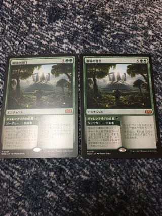 2 pieces of virtue of strength 2枚
