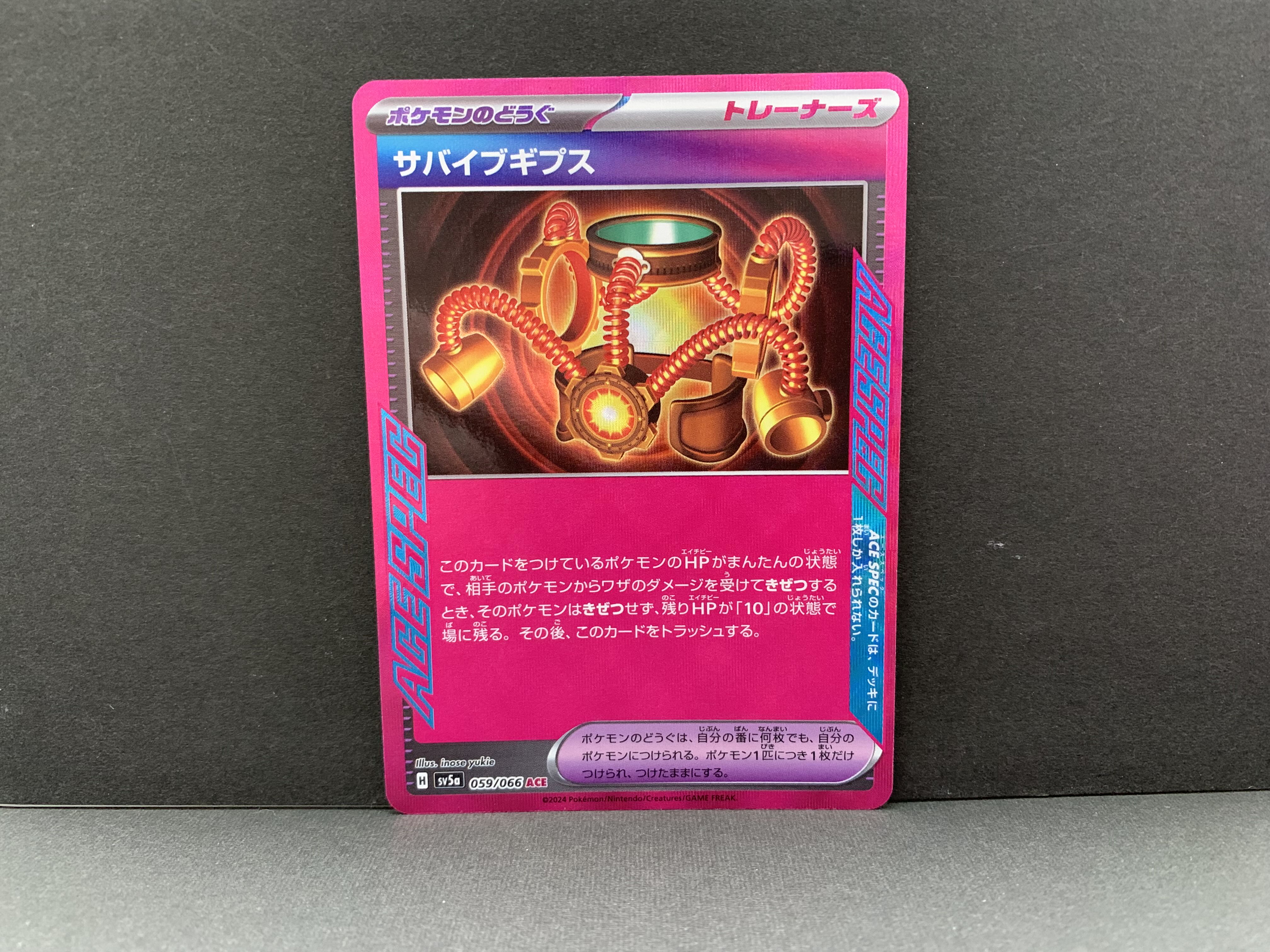 Survive Gips ACE 059/066