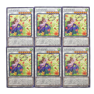 2072 [King of Games] Iroha Momiji 6-card set