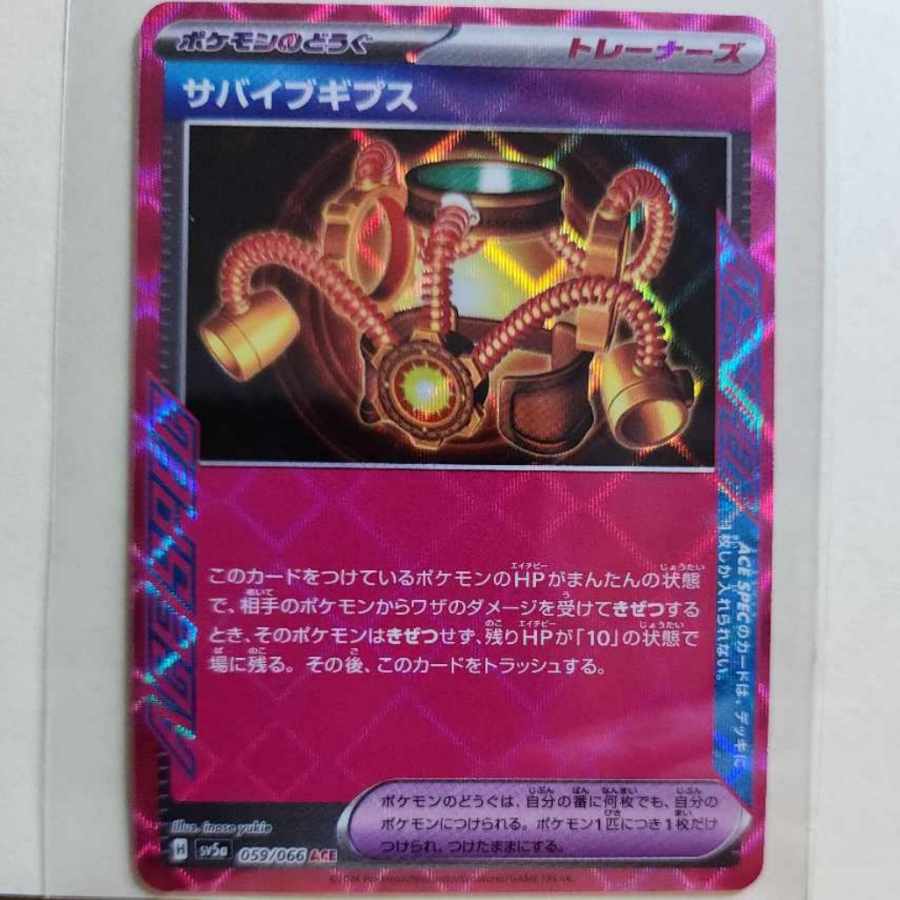 Survive Gips ACE 059/066