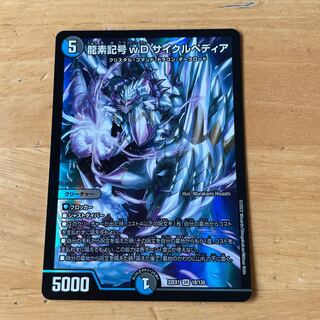 龍素記号wD サイクルペディア SR 18/130