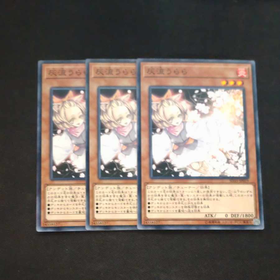 Ash Blossom & Joyous Spring Normal JP019✕3