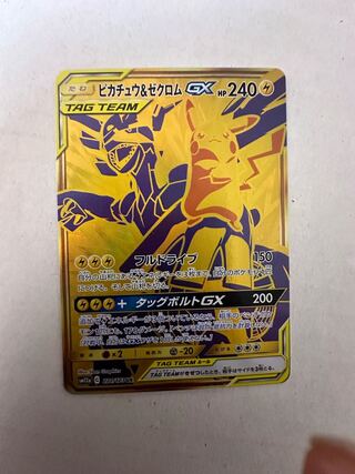Pikachu&ZekromGX UR 221/173