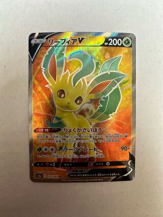 LeafeonV for the exclusive use of Mr. Takamada