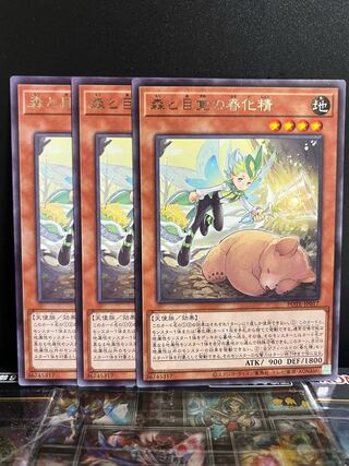 遊戯王スタジオ 9647 森と目覚の春化精 レア JP017