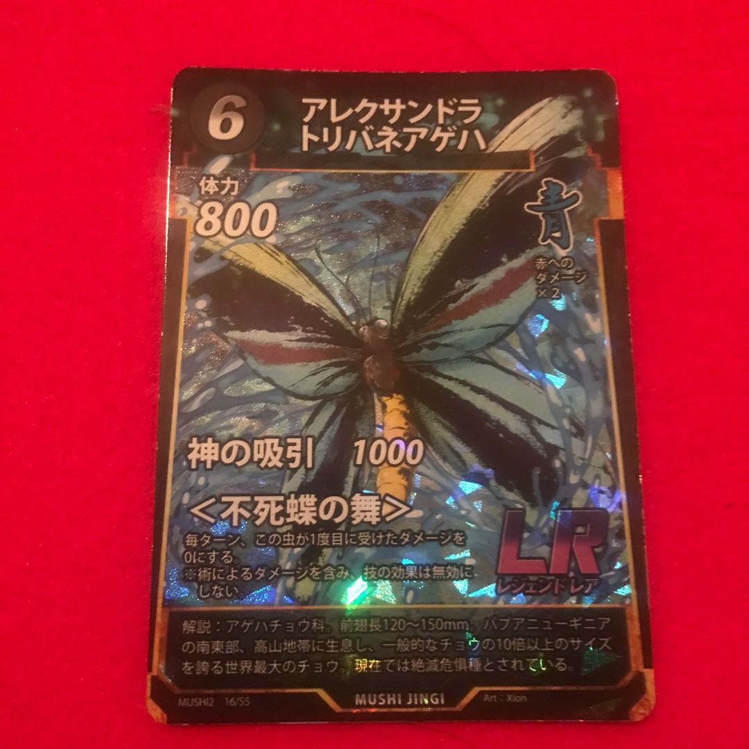 蟲神器 アレクサンドラトリバネアゲハ 2枚セット