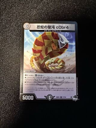 忍蛇の聖沌 c0br4 R 17/74