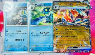 Greninjaex RR 045/066