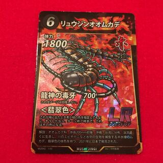 仮名校様専用 リュウジン(同梱)