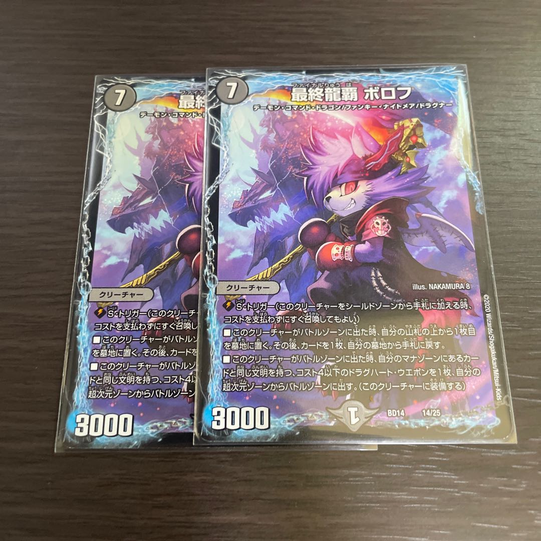 Final Dragon Heights Borov 14/25