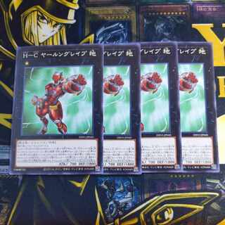 Ｈ-Ｃ ヤールングレイプ ノーマル JP045