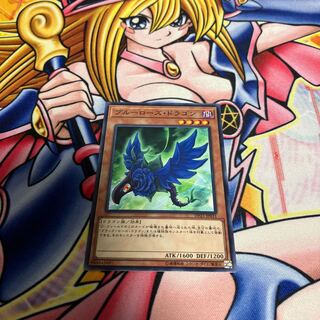 ブルーローズ・ドラゴン ノーマル JP031