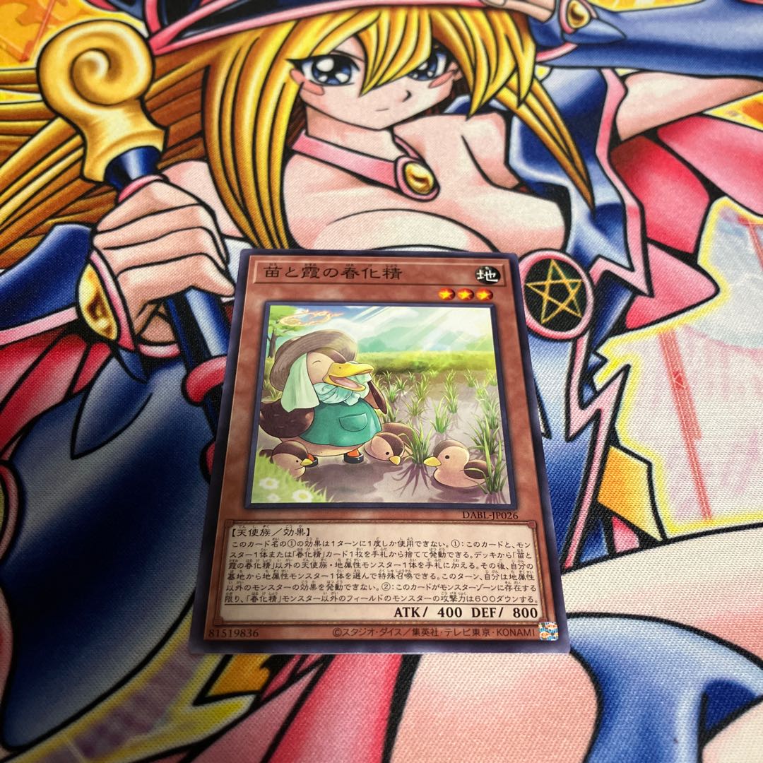 Seedlings and Kasumi no Shunka Seijin Normal JP026