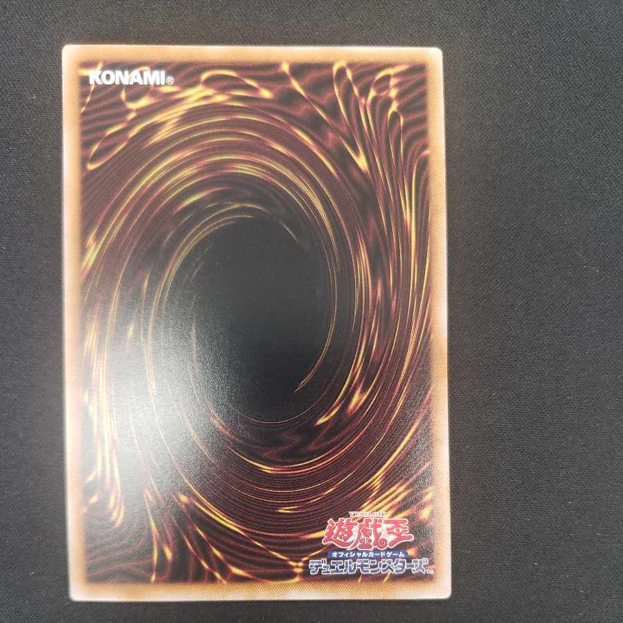 Cyber End Dragon QCSE, 25th Sikh QCCP-JP021