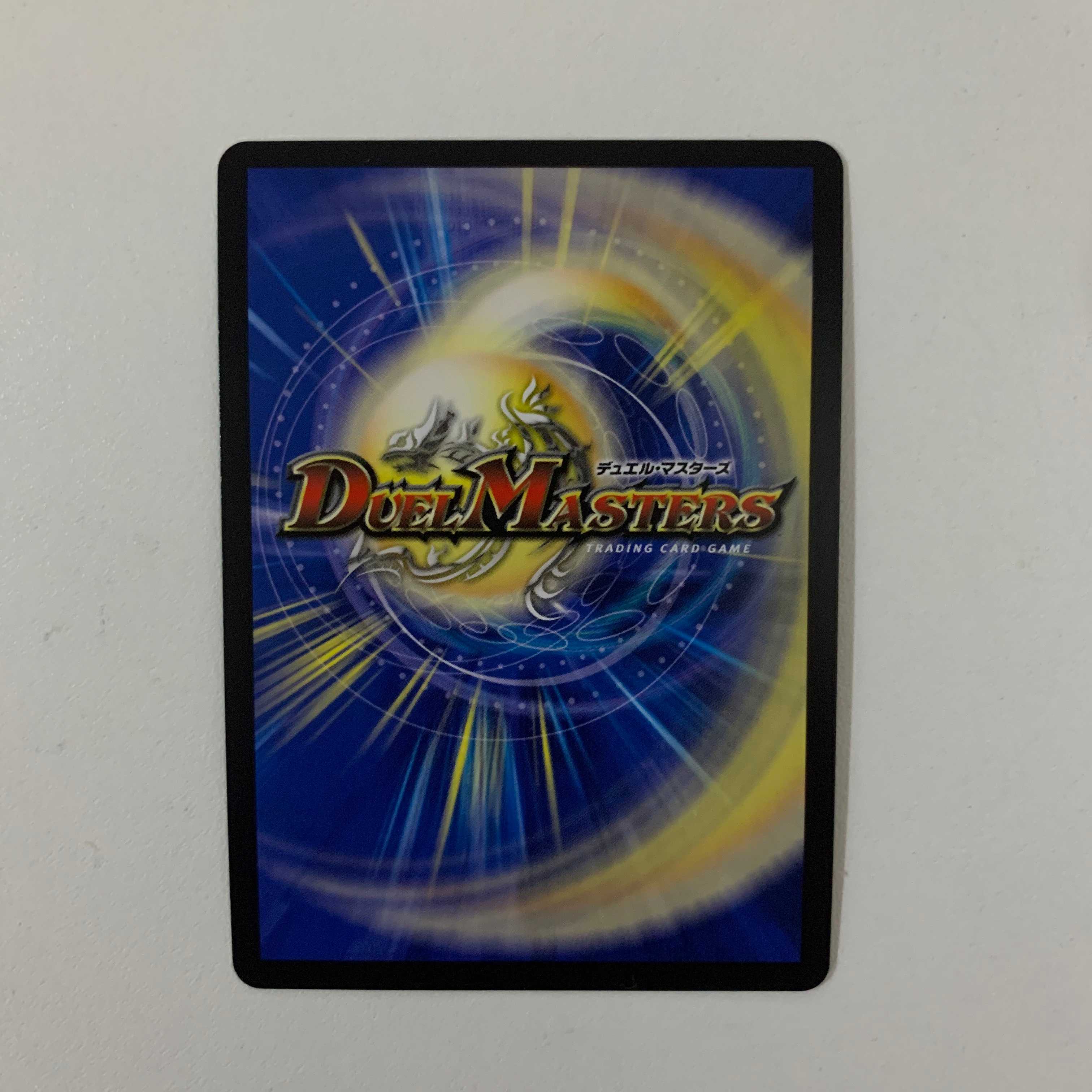 絶対の楯騎士」