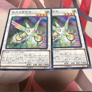 遊戯王 虹光の宣告者 2枚