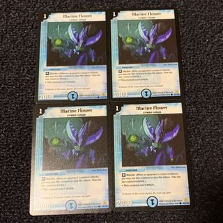 マリンフラワー 英語版