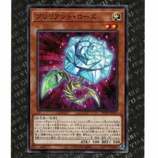 20YEN] [POTE-JP021]Brilliant Rose (N)