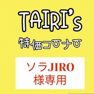 【ソラJIRO様専用】なかよしポフィン　カビゴン(とおせんぼ)　シマボシ　サイバーギブス