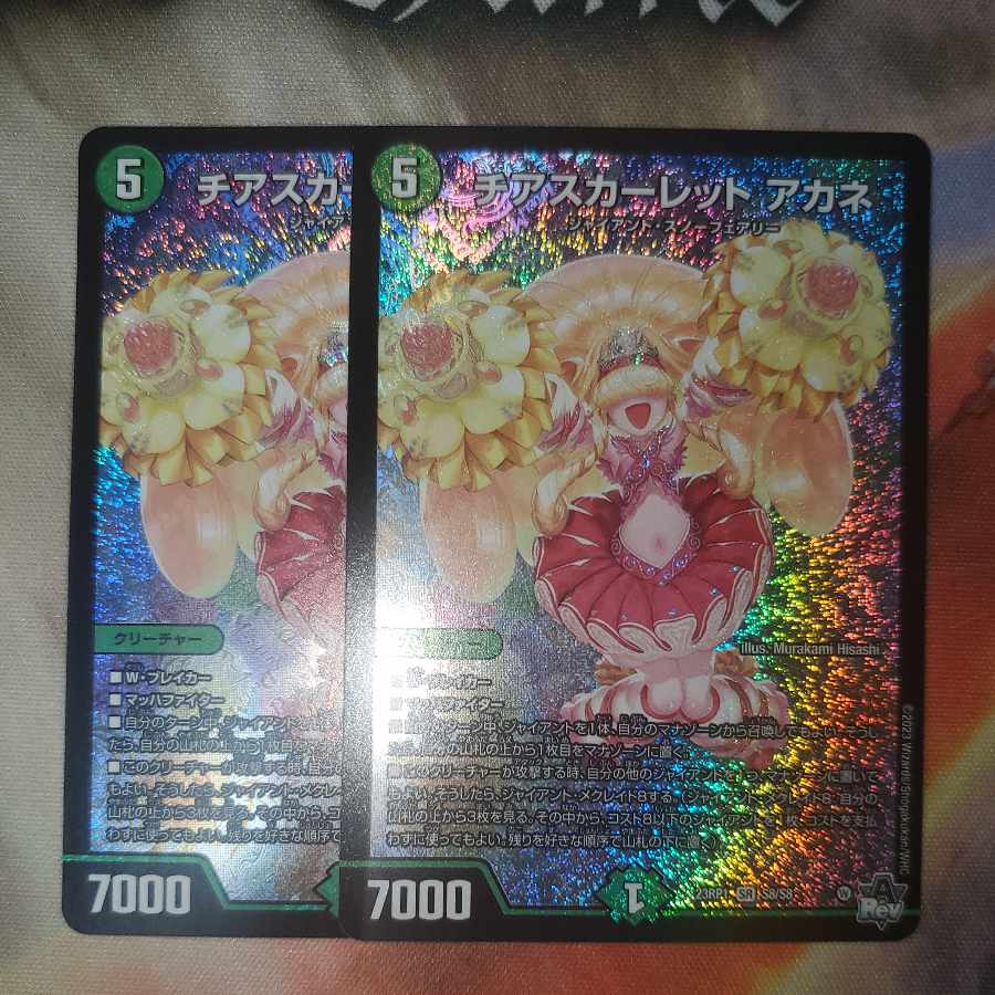 Cheer scarlet Whitney, set of 2