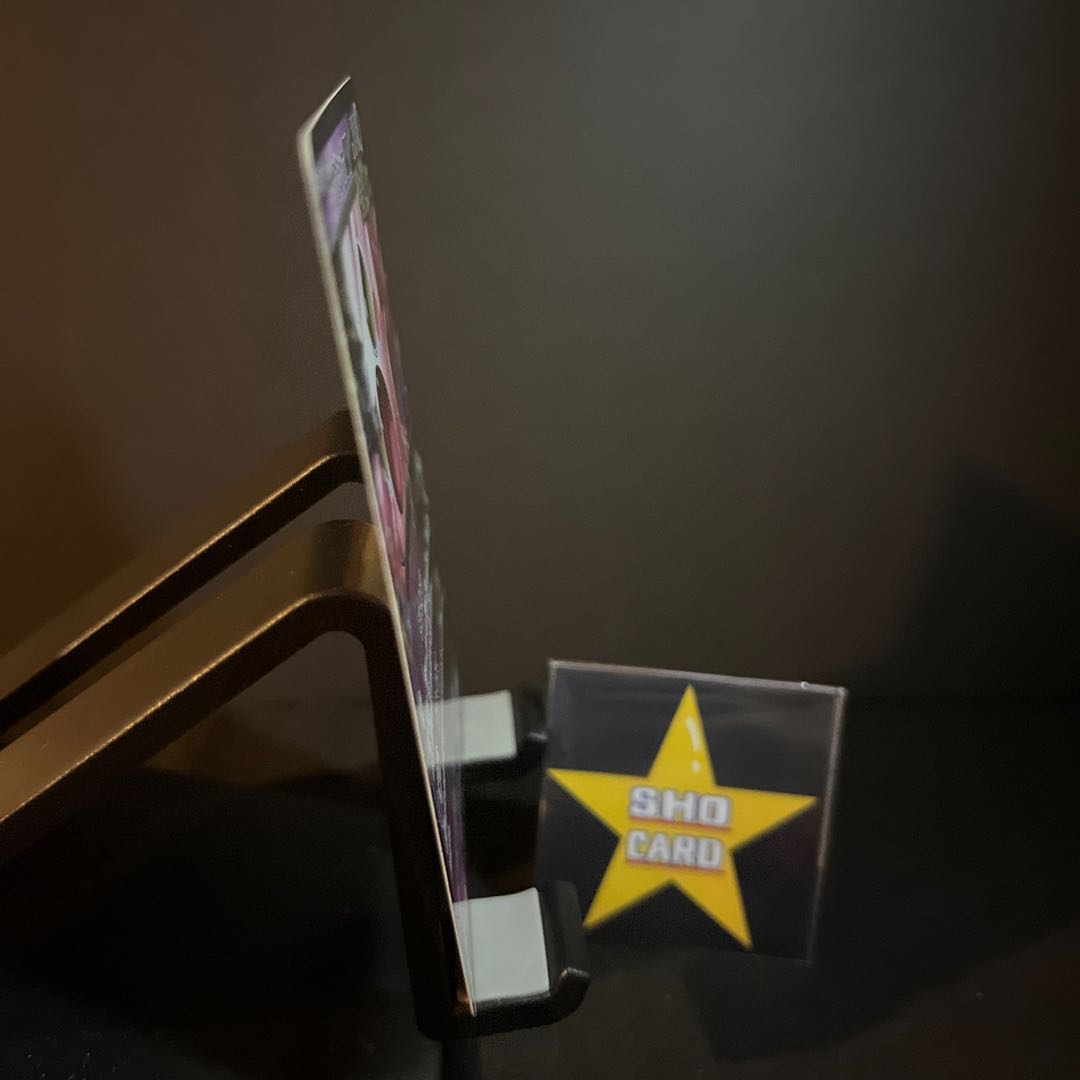 [Fun Set] Sakebushippo ex SR 082/066 Sakebushippo ex RR Set of 2