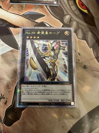 Number 39: Utopia QCSE, 25th Sikh QCCU-JP066