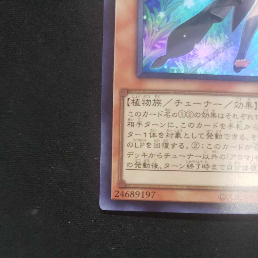 Alomari Squirrel - Rosalina Super Rare PHNI-JP022