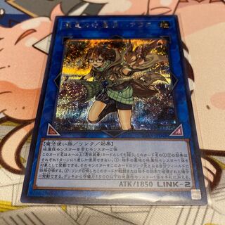 崔嵬の地霊使いアウス SE