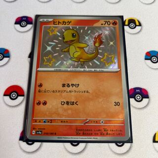 ヒトカゲ S 210/190
