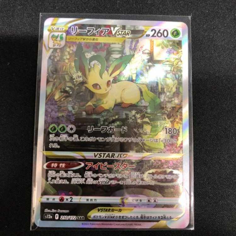 LeafeonVSTAR SAR 210/172 Administration 02