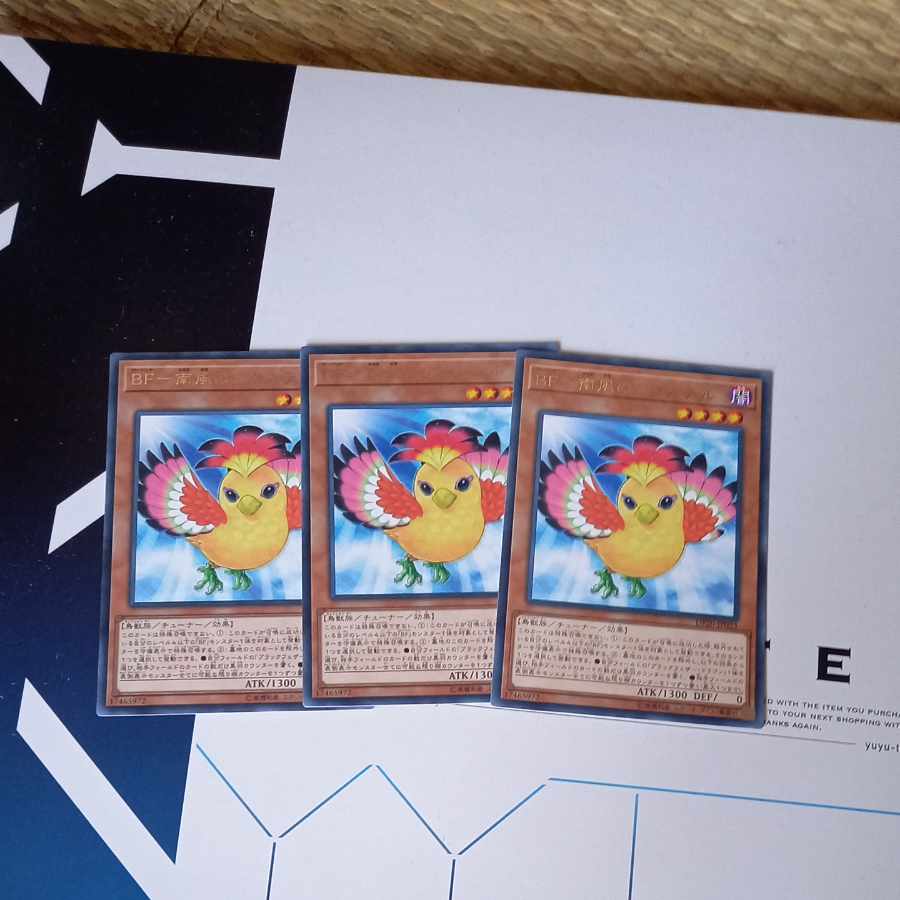 BF-South Wind Auster Rare JP025 [Black Feather, BF