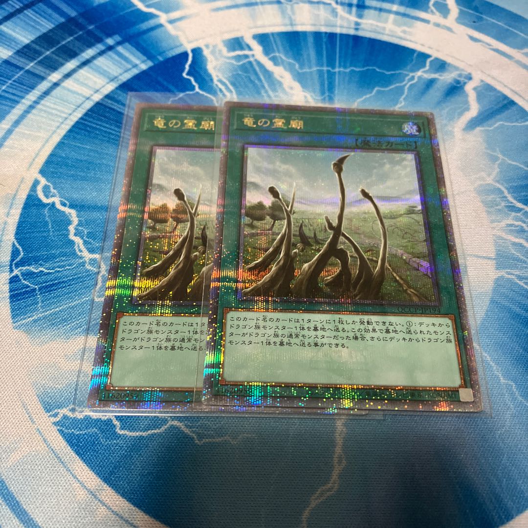 Dragon Shrine QCSE, 25th Sikh QCCP-JP194