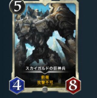 【毎日値下】2枚スカイガルド