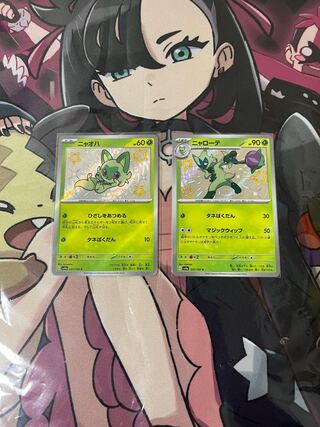 ニャオハ Sとニャローテ S