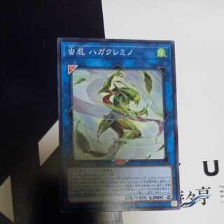 虫忍 ハガクレミノ