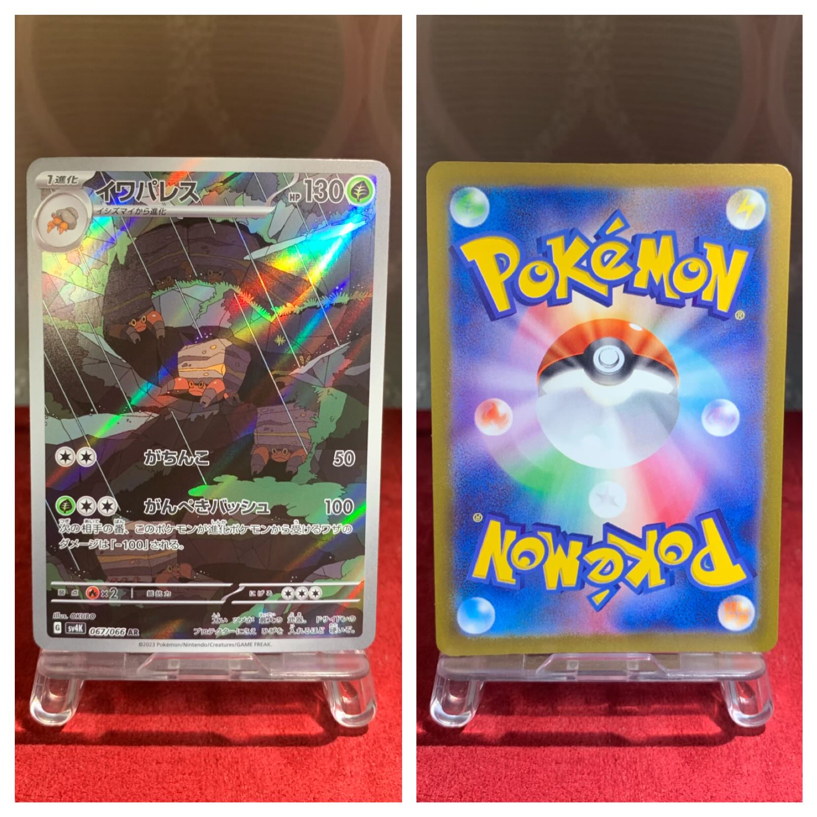 Pocketka [Crustle] AR