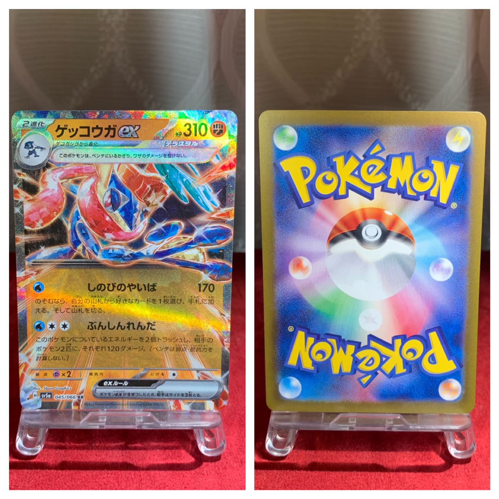 Pocketka [Greninjaex] RR