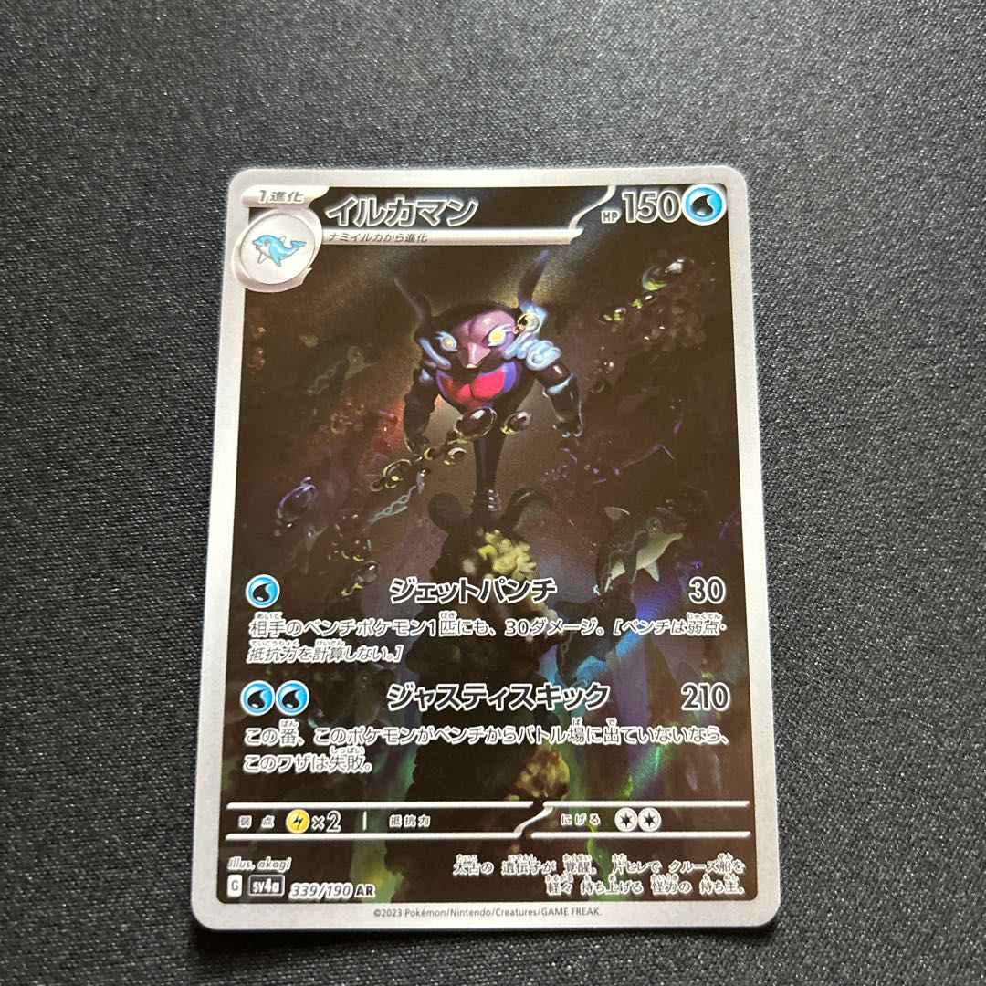 イルカマン AR 339/190 1枚