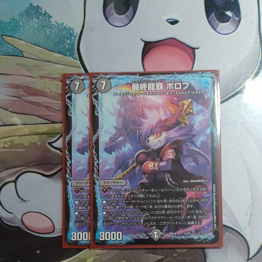 Final Dragon Heights Borov 14/25