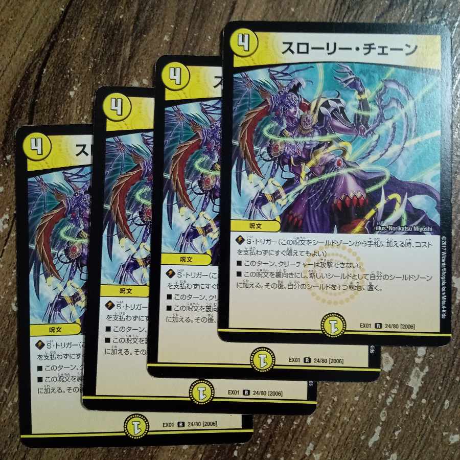 Slowly Chain R 24/80 [2006].