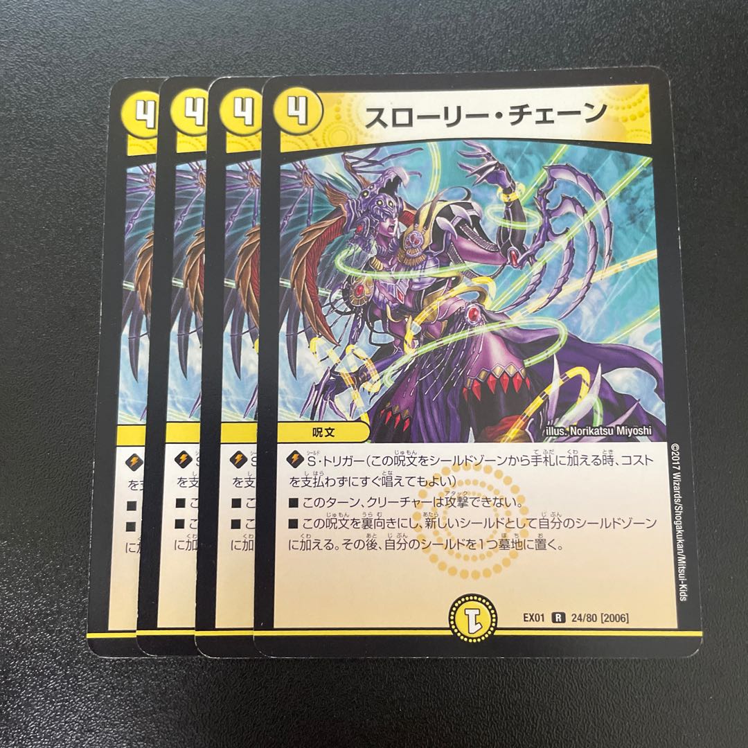 Slowly Chain R 24/80 [2006].