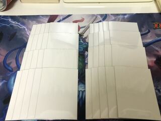 フォーラムスリーブ 白