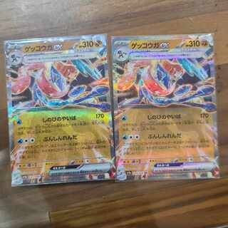 Greninjaex RR 045/066