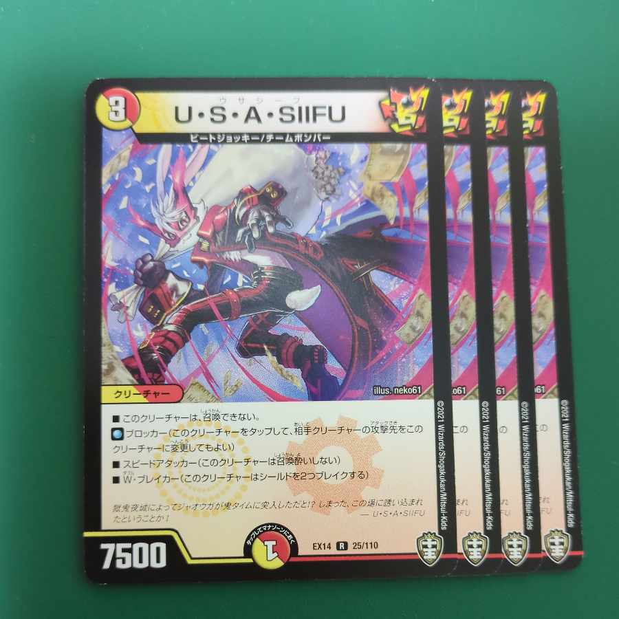 U.S.A. SIIFU R 25/110